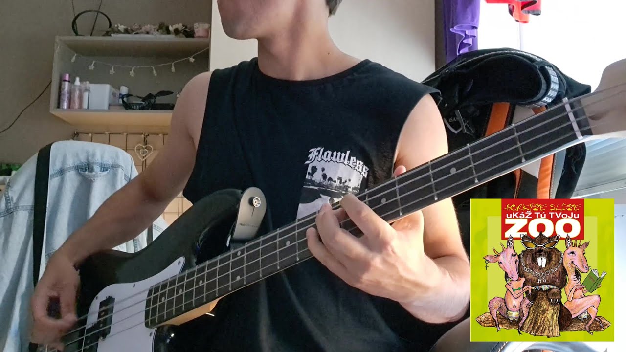 Motorkárska - Horkýže Slíže | Bass cover