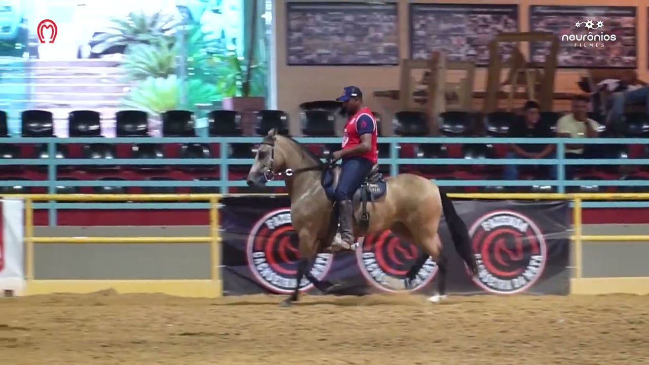Pratinha Pontal, Grande Campeã adulta da raça Expo Haras Raphaela 2023