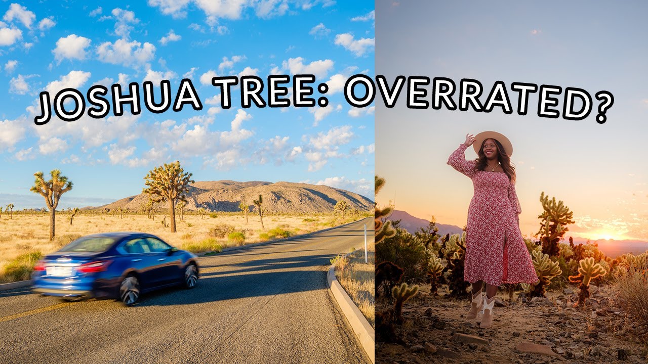 Joshua Tree Travel Vlog