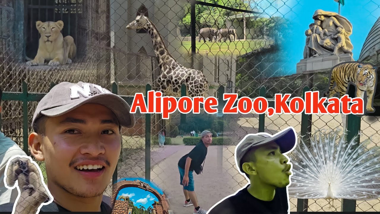 Alipore Zoo & Victoria Memorial, Kolkata