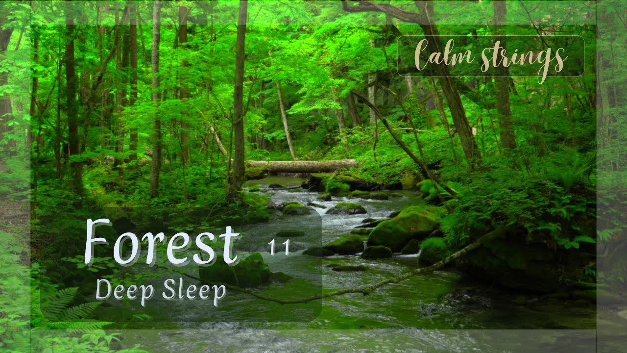 Fall Asleep with a Quiet Forest Stream | 2 Hours of Deep Sleep Music