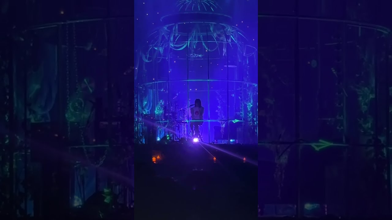 君の知らない物語/ずとまよ(acaね)cover