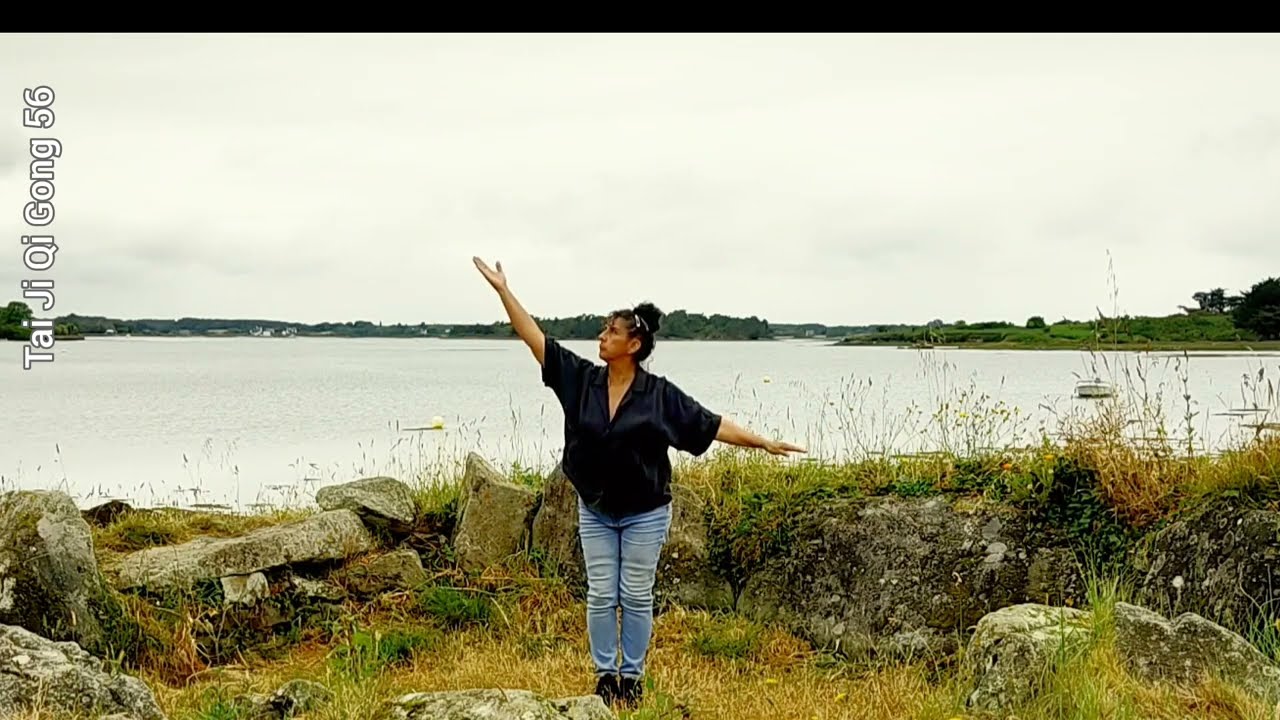 Mawangdui  Qi gong,12 mouvements du Daoyin (Chi Kung).