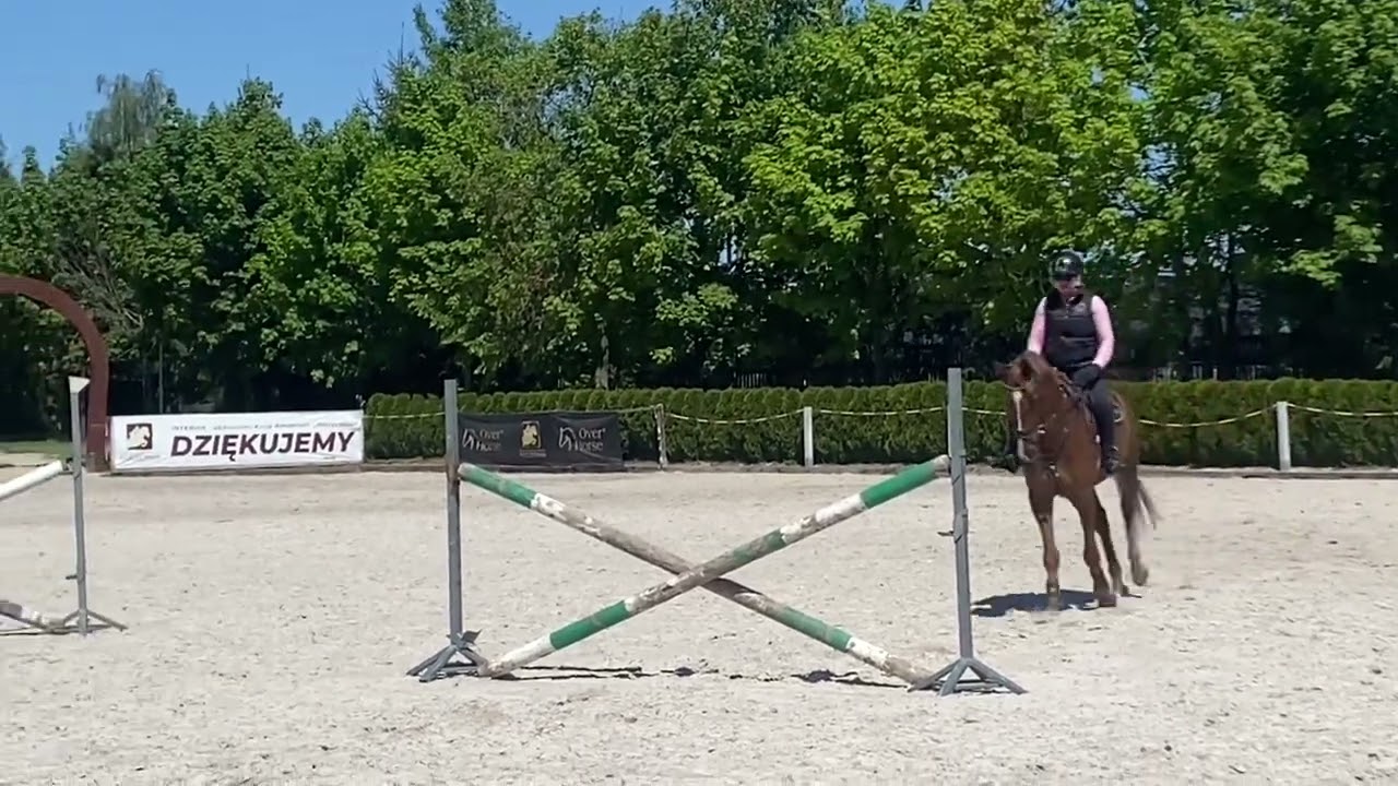 Szkoła Jeździecka Interhorse - Ćwiczenia dla konia skoczka