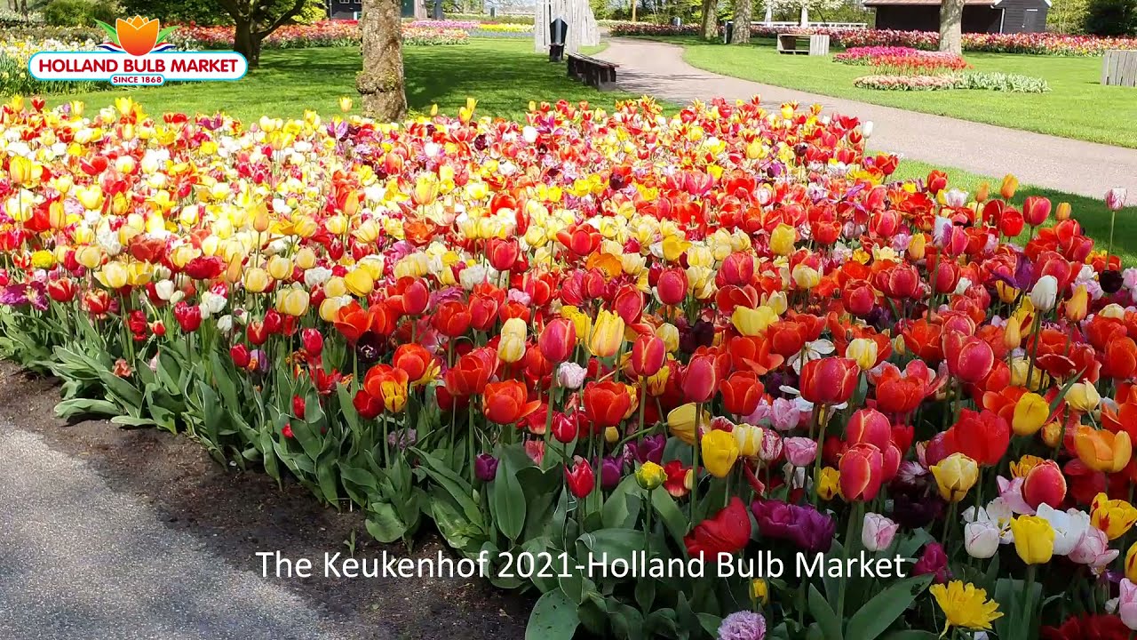 Keukenhof 2021