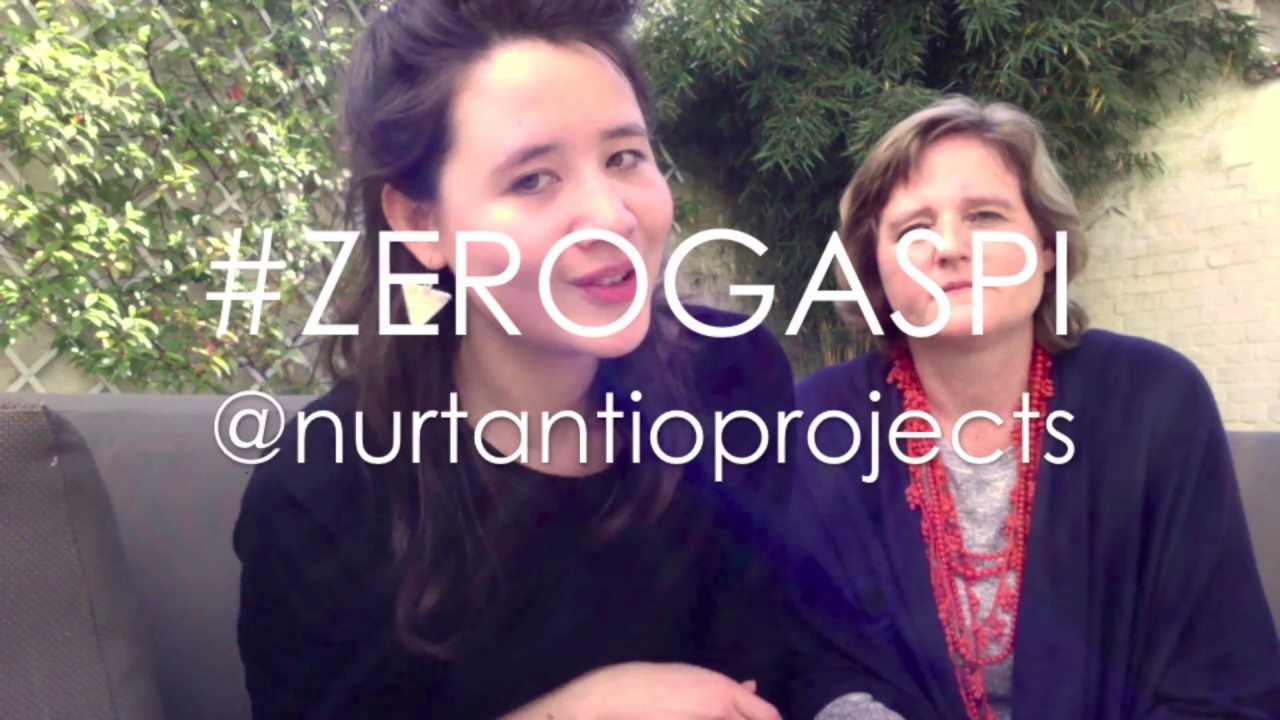 Zero Gaspi || Zero Waste || &eacute;d. Larousse