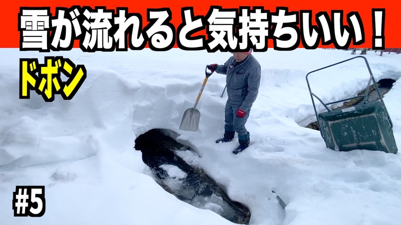 【ドボンその５】2026-03-06（金）この雪を落とすと気持ちいい！武七の除雪・雪かき日記　#snowremoval #ASMR #snowplow