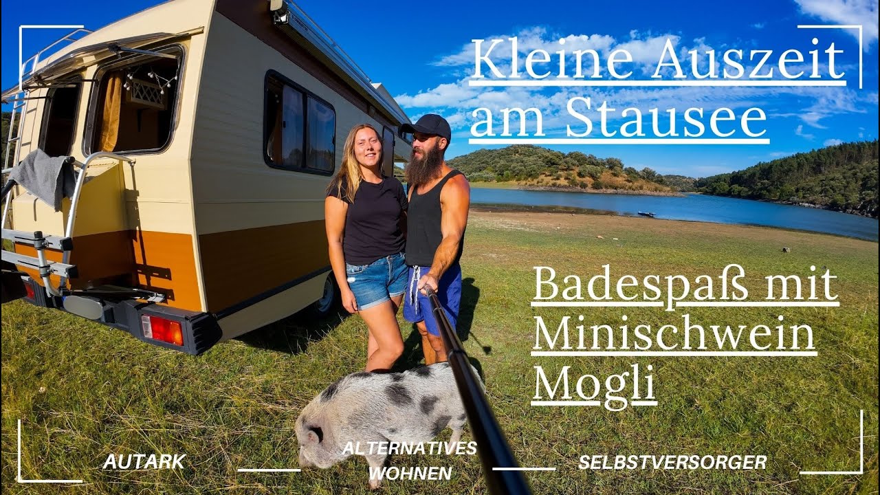 Traumhafte Stellplätze in Portugal am Stausee \\ Baden gehen mit Minischwein