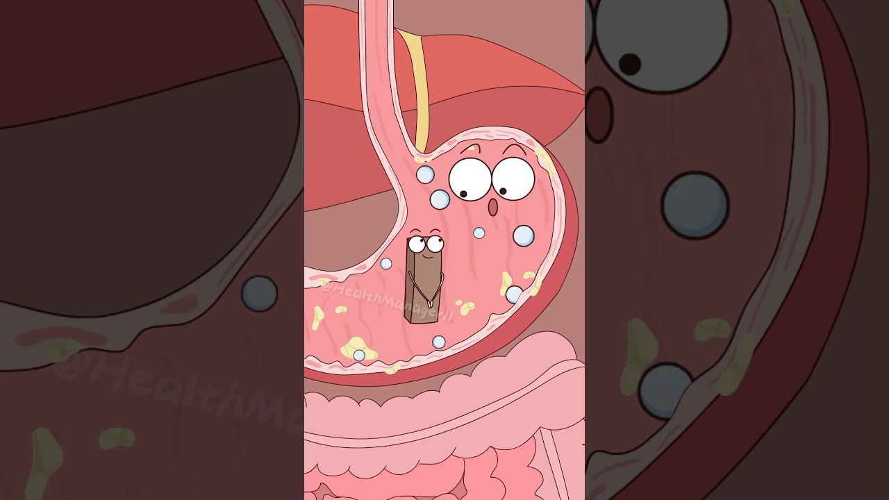 How does konjac help you lose weight? 