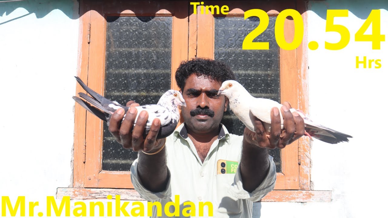 Mr.Manikandan 20.54 hrs