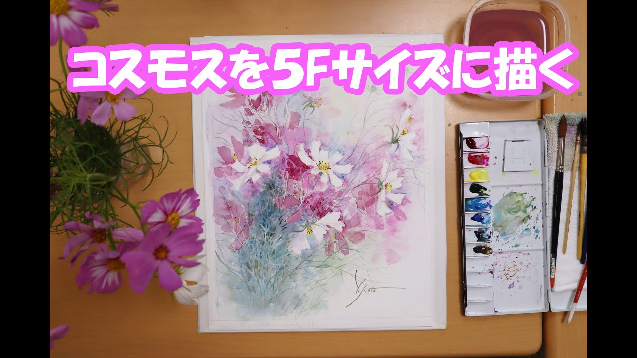 【透明水彩画】コスモスを5Ｆサイズに描く