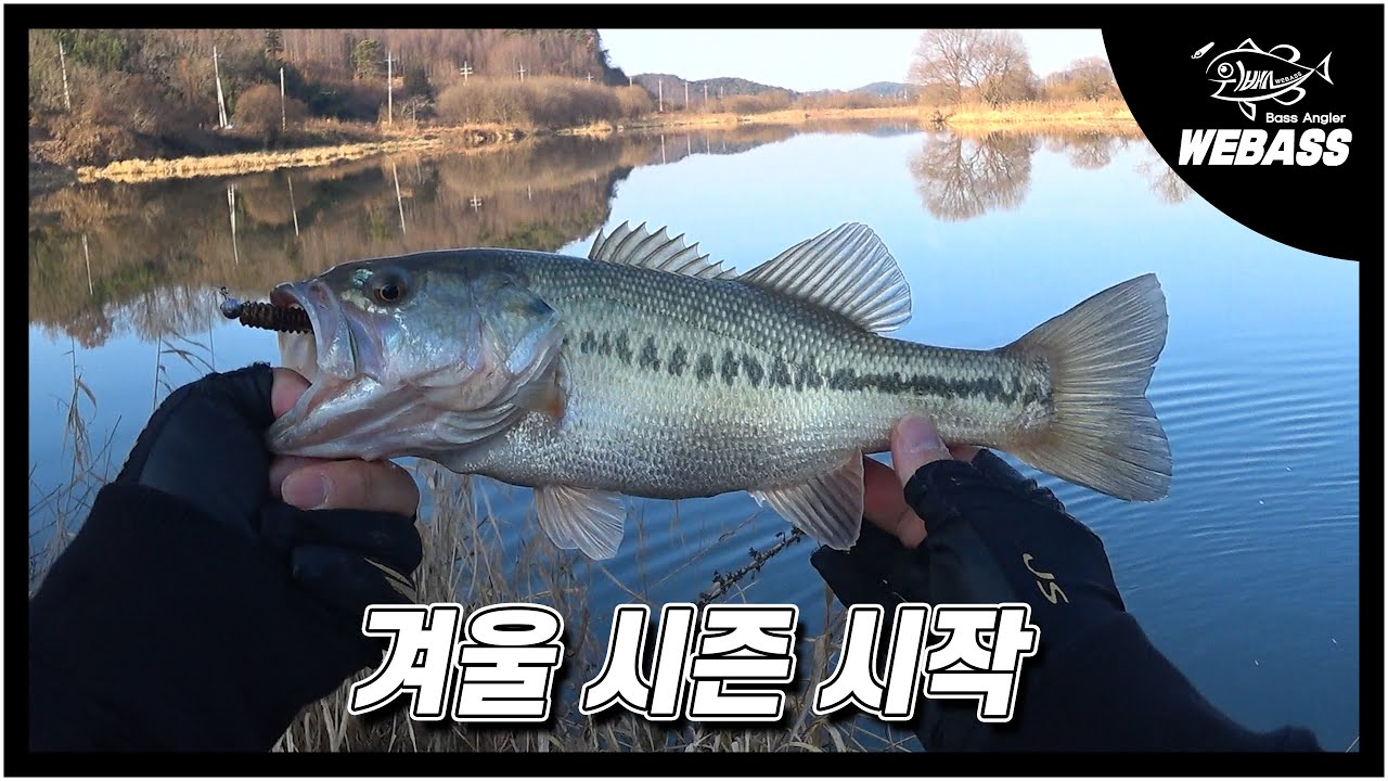 [배스낚시] 시작된 겨울 시즌 배스 낚시 Ep.237