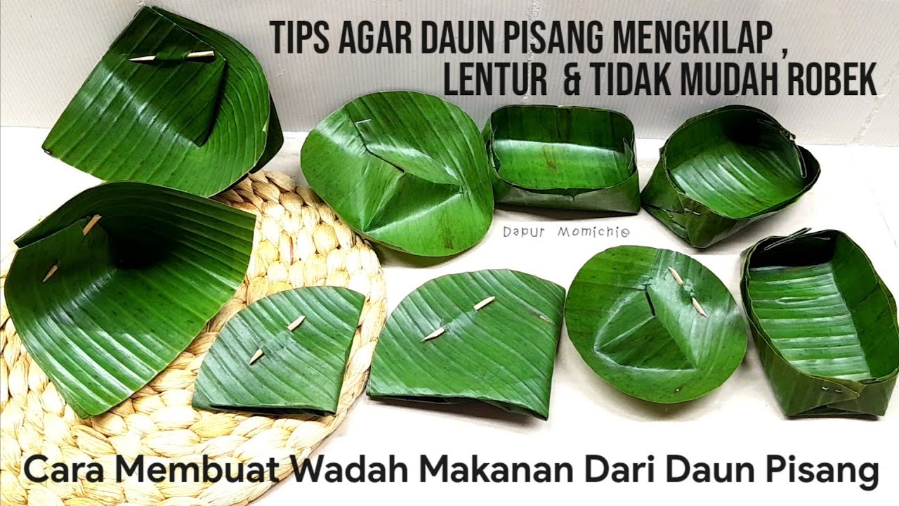 CARA MELIPAT DAUN PISANG UNTUK WADAH MAKANAN | TIPS DAUN PISANG LENTUR DAN TIDAK SOBEK
