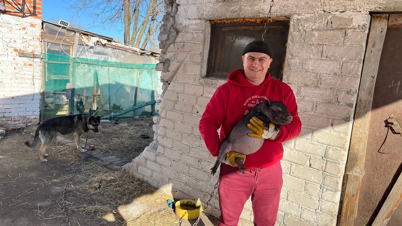Убрал полностью. Буська уезжает 