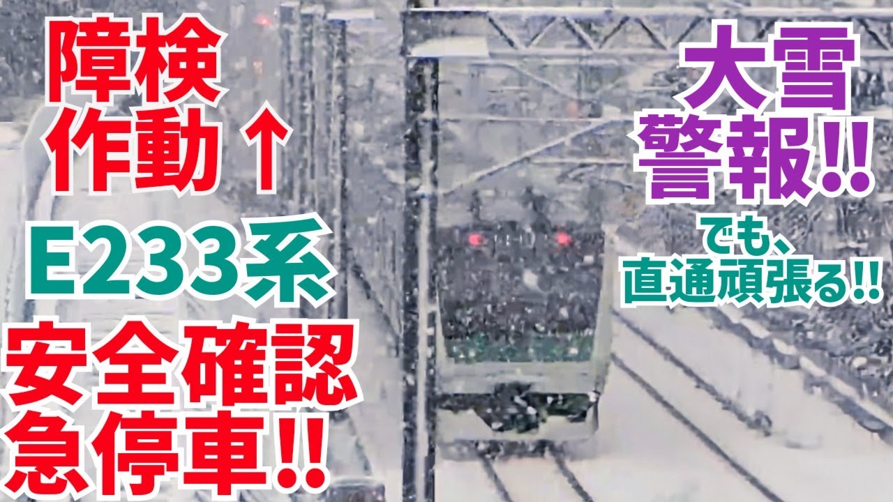 【障検作動!!】E233系ハエ123編成 大雪のなか相鉄線を走行!!【大雪警報!!】