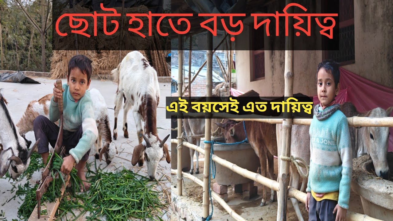 ছোট হাত, বড় দায়িত্ব। আমি না থাকলেও খামার চলে 