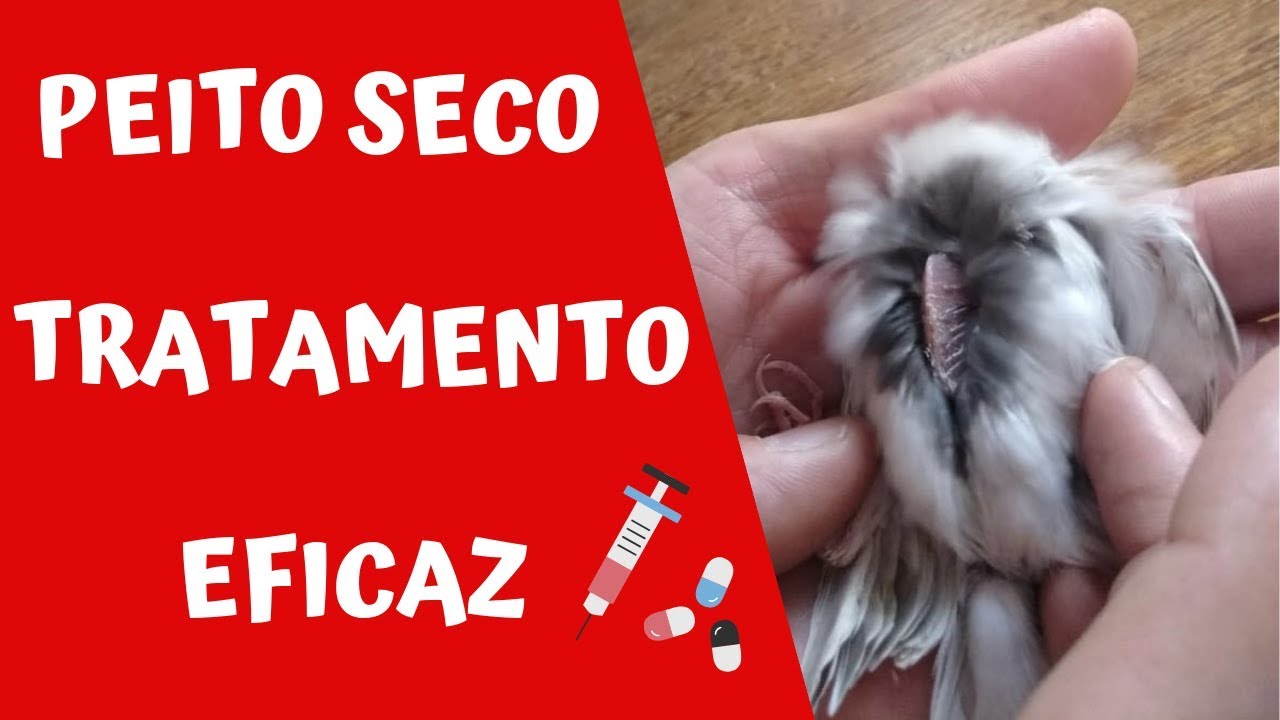 PEITO SECO TRATAMENTO EFICAZ - Canaril Qualità