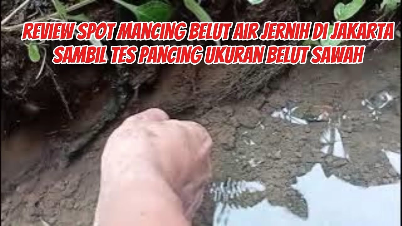 Review Spot Mancing Diselokan Air Jernih Dijakarta sambil tes mancing pakai pancing belut sawah