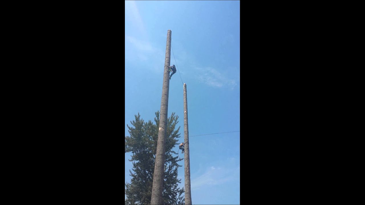 Speed Climb 2015 Buckley Log Show