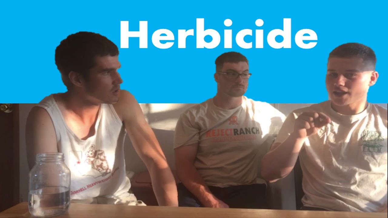 Should I use HERBICIDES?