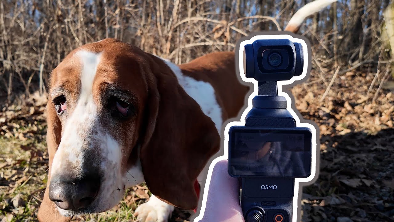 DJI Osmo Pocket 3 Test & Review - Daily Vlog : E7S2024