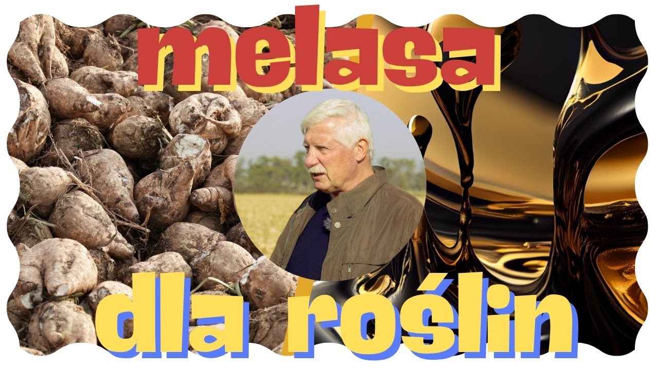 Sprawdzone Metody na Lepsze Plony! Rola Cukrów w Odżywianiu Roślin i Gleby!
