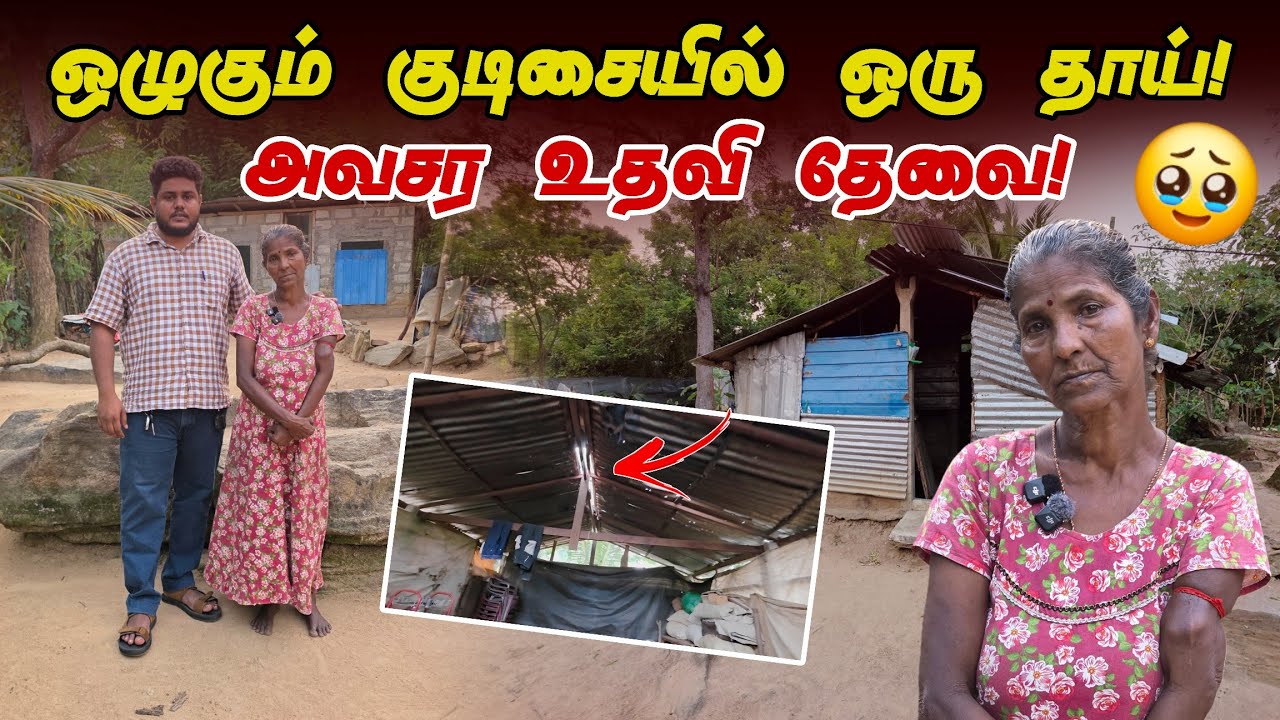 🥹 ஒழுகும் கூரை! இந்த பாட்டியின் நிலைமையை பாருங்கள்.. ஒரு தகரம் கிடைக்குமா? 🙏