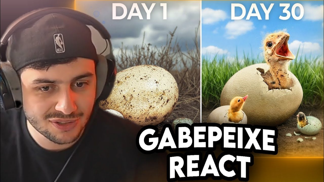 Eu Choquei os Maiores e Menores Ovos do Mundo - GABE REAGE