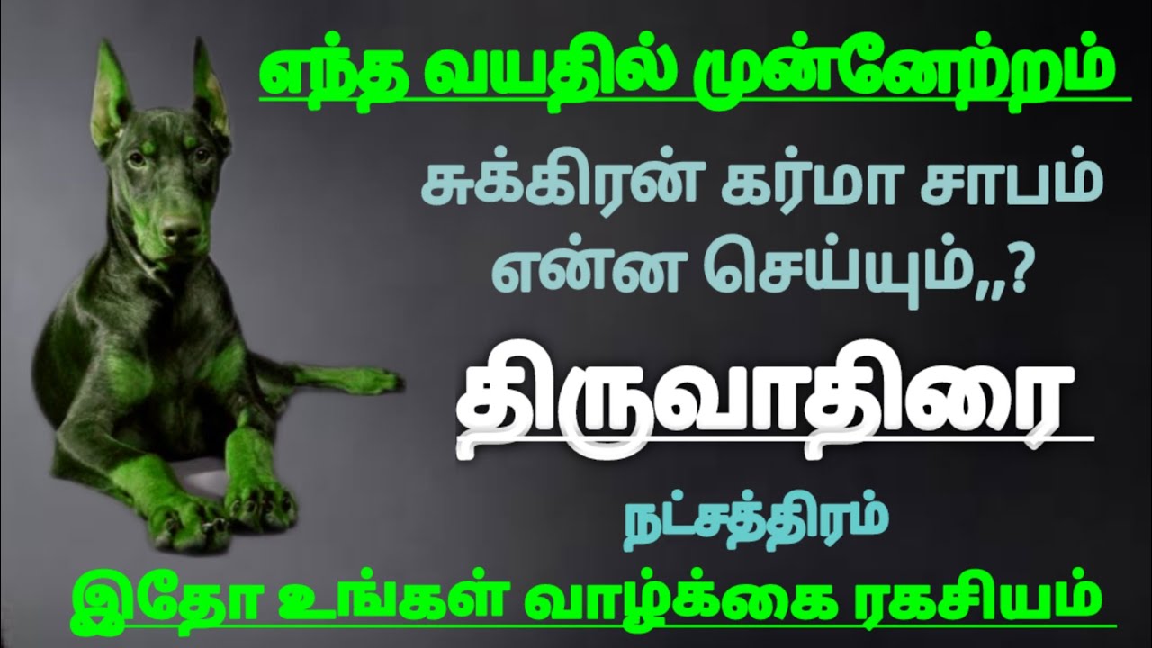 மிதுனம் ராசி திருவாதிரை நட்சத்திரம் சுக்கிரன் கர்மா சாபம் தோஷம் பலன் #mithunam Rasi natchathiram