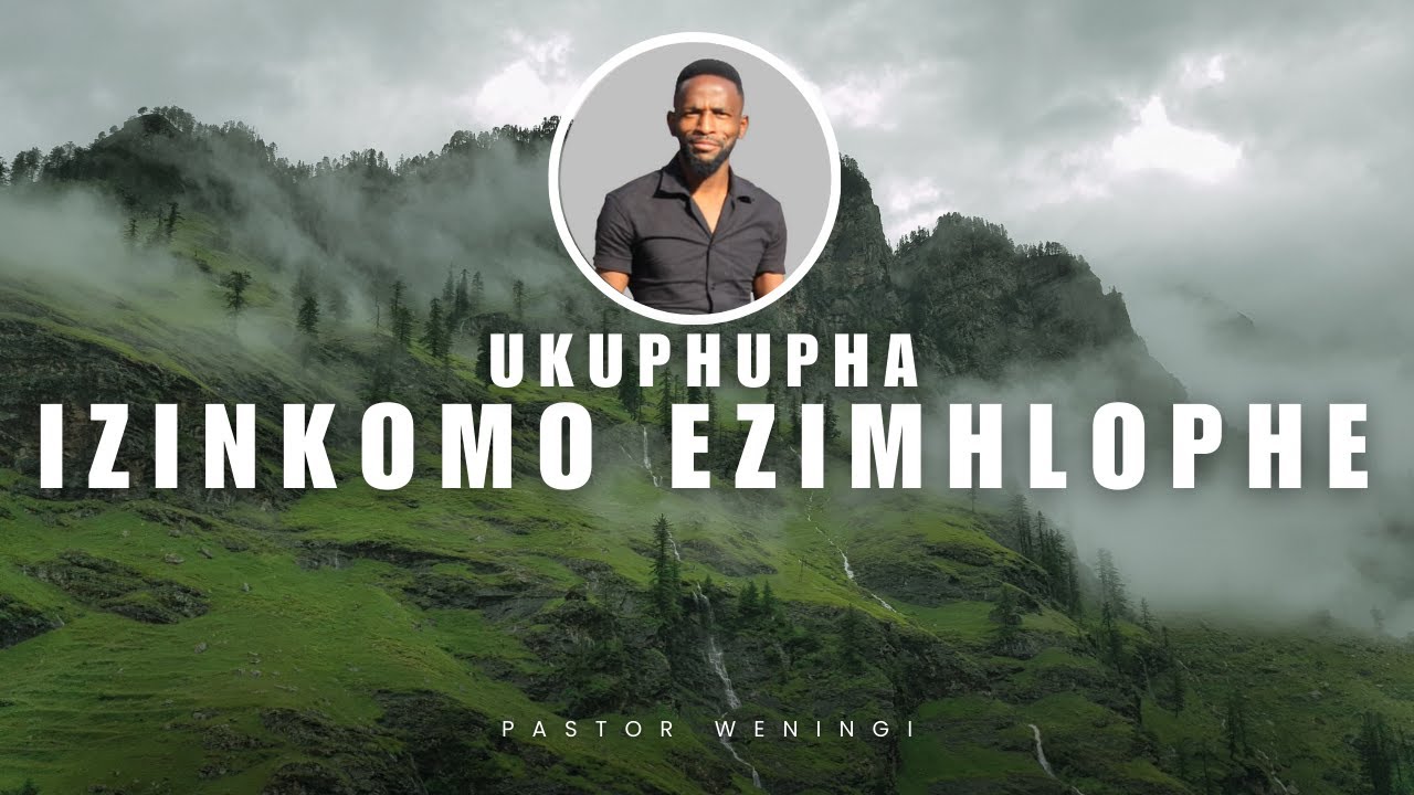 Ukuphupha ufuye izinkomo ezimhlophe