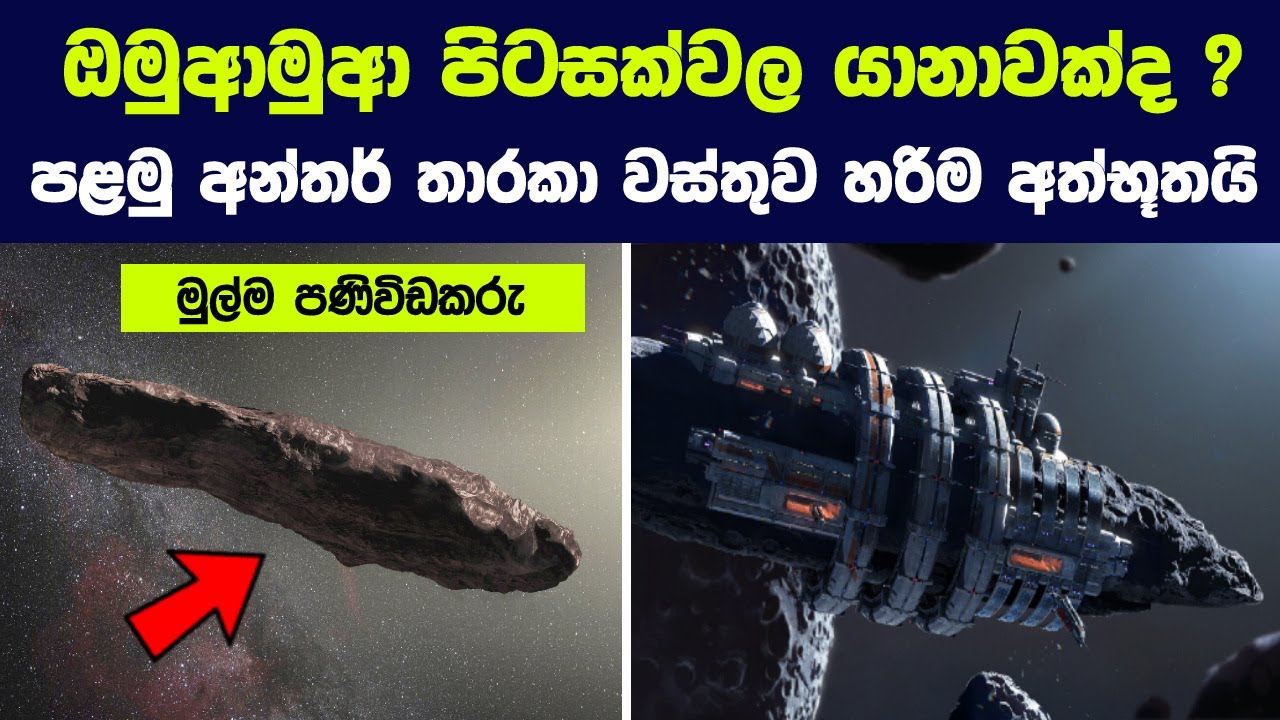 ඔමුආමුආ පිටසක්වල යානාවක්ද ? අප දුටු පළමු අන්තර් තාරකා වස්තුව හරිම අත්භූතයි |  Interstellar Visitor