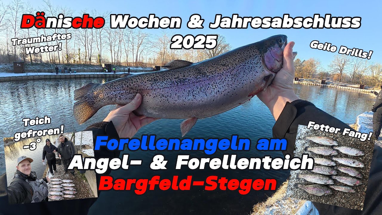 Dänische Wochen 2025 - Forellenangeln am Angel- & Forellenteich Bargfeld-Stegen #ulfishing #trout