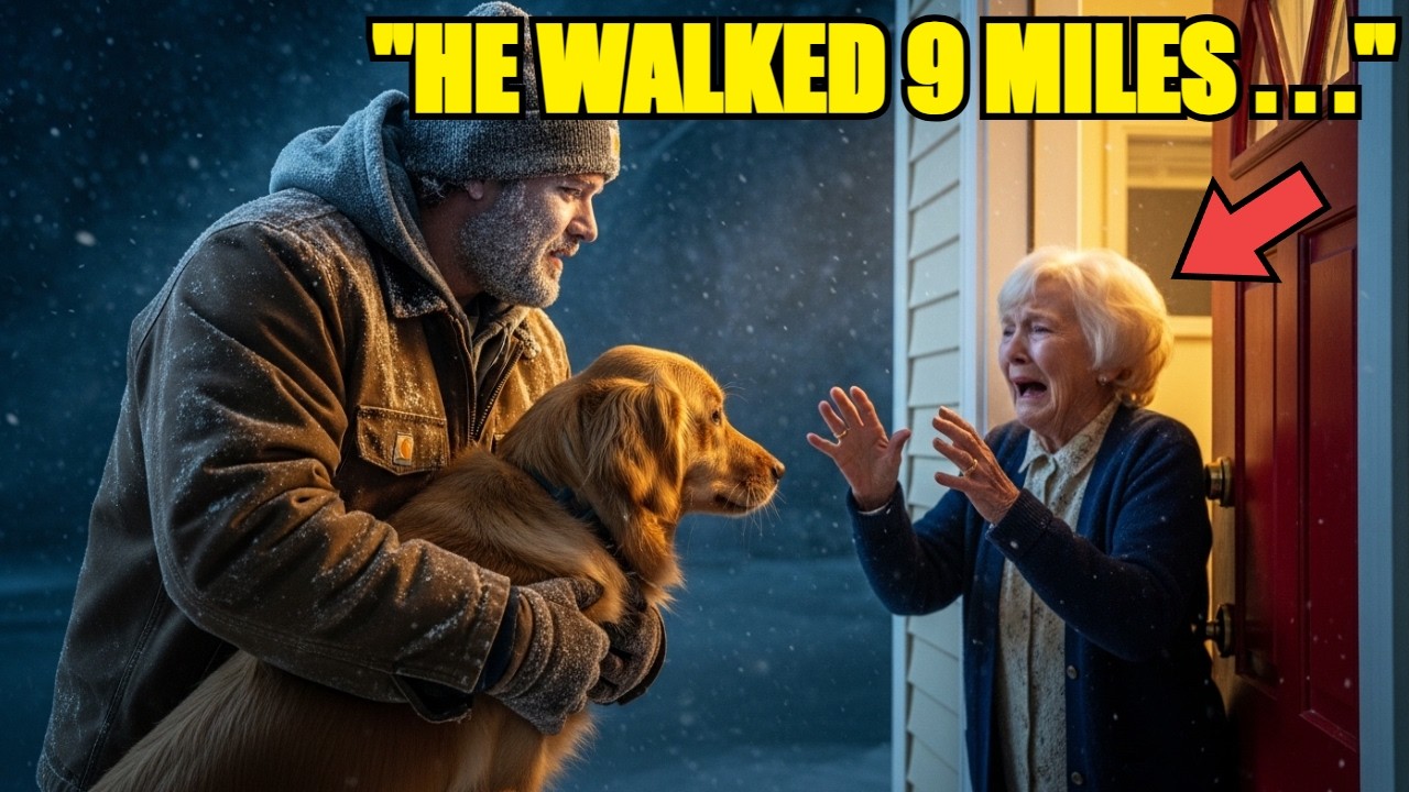 Single Dad Walked 9 Miles in a Blizzard to Return a Lost Dog — She Opened the Door and COLLAPSED