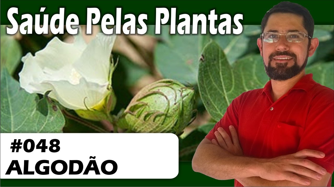 Sa&uacute;de Pelas Plantas - Algod&atilde;o [diarreias, menstrua&ccedil;&otilde;es, hemorragias, impot&ecirc;ncia sexual, fungicida]