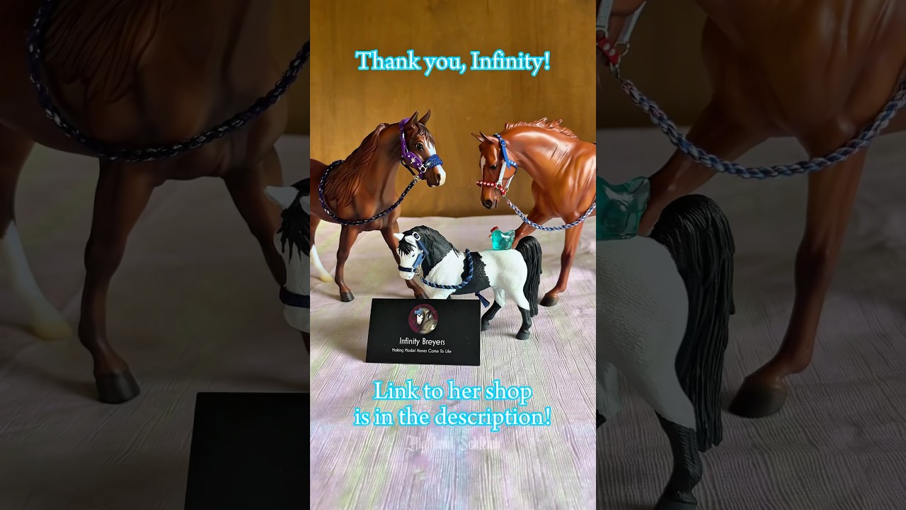 Let’s unbox some GORGEOUS tack from ​⁠@infinitybreyers’s shop! 🩵