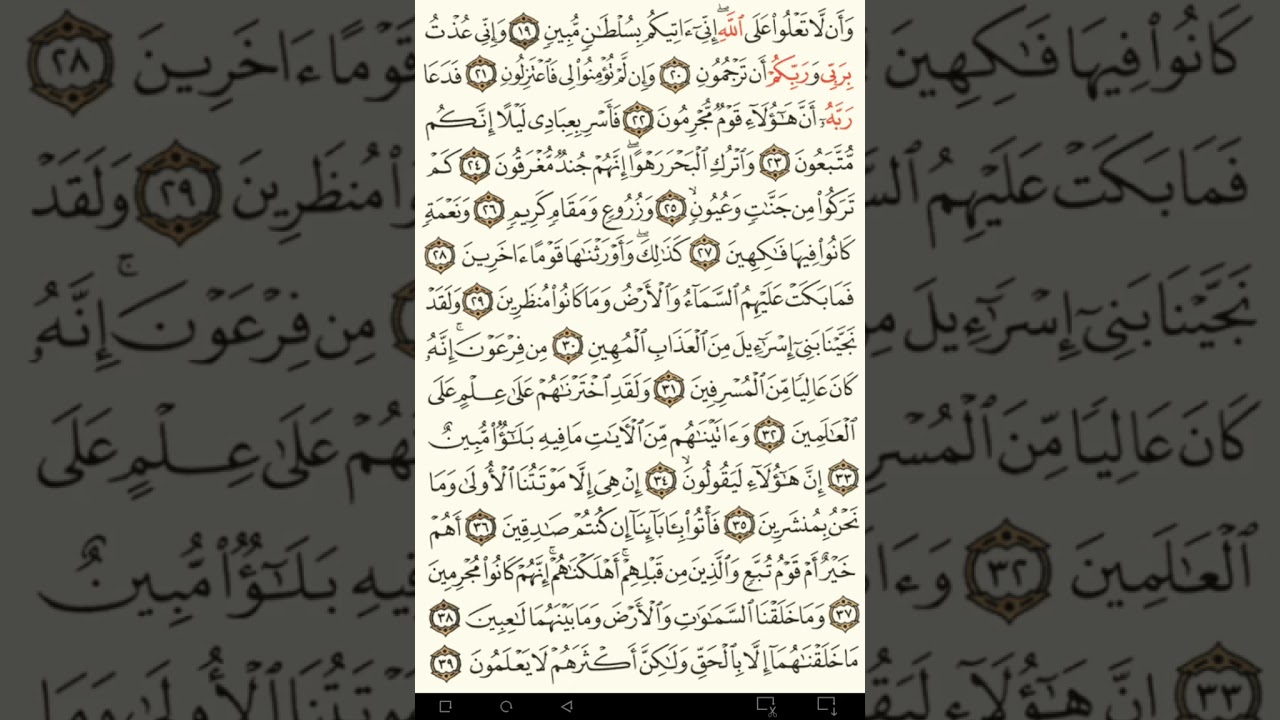 ماهر المعيقلي سورة الدخان مكتوبة من الآية 1 صفحة 496 إلي الآية 59 صفحة 498