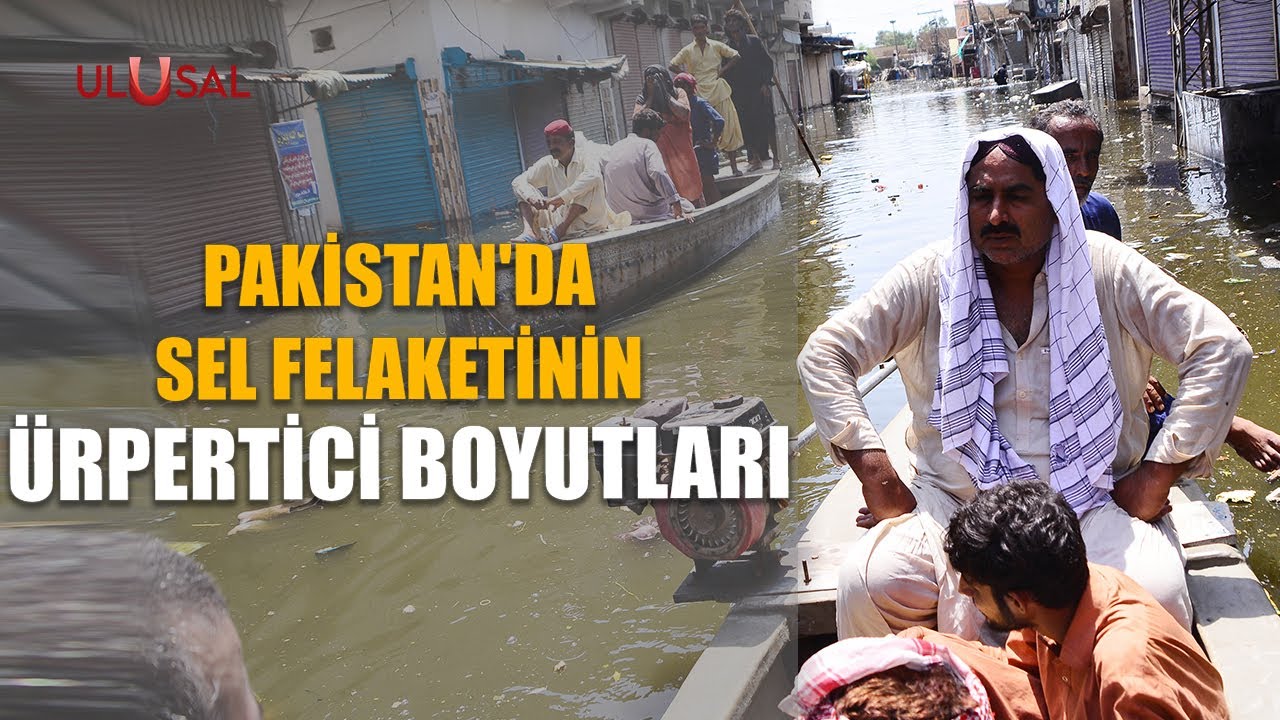 Pakistan'da sel felaketinin ürpertici boyutları