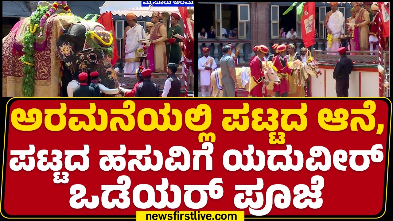 Mysuru Palace Ayudha Puje :ಅರಮನೆಯಲ್ಲಿ ಪಟ್ಟದ ಆನೆ,  ಪಟ್ಟದ ಹಸುವಿಗೆ Yaduveer Wadiyar ಪೂಜೆ |@newsfirst