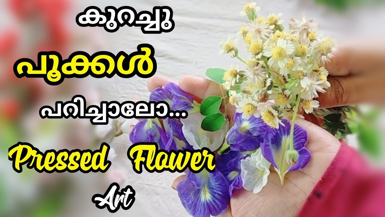 DIY-Pressed Flower Art/Dry Flower Making For Bottle Art/Pressed Flower  Home Decor/PALMCRAFT EP 213