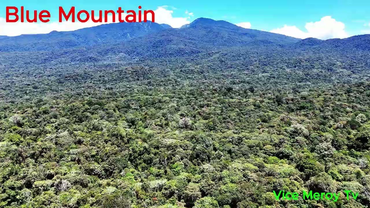 Mt Piapayungan