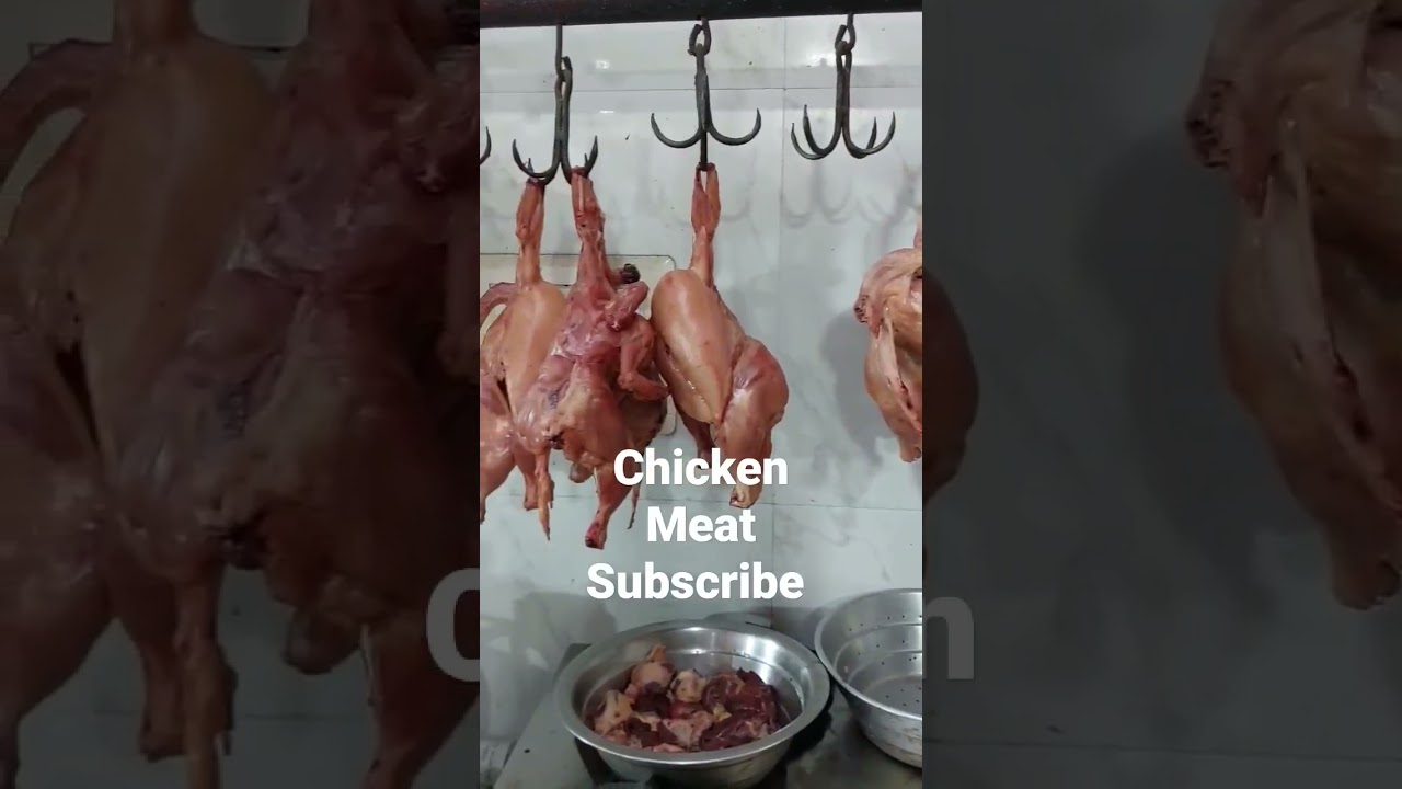 Chicken Meat 🍖 
