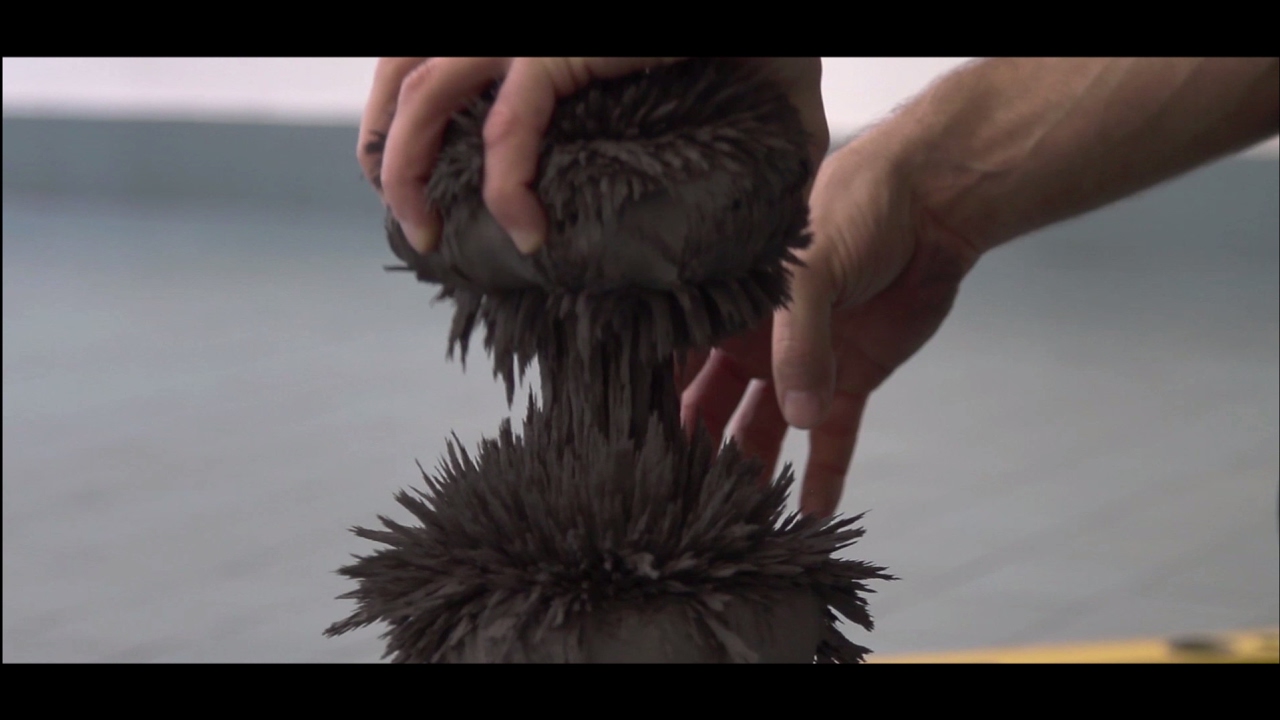 Sculpture with Magnets & Iron Powder - supermagnete