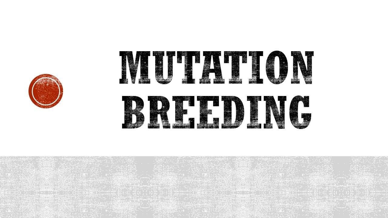 Mutation Breeding.