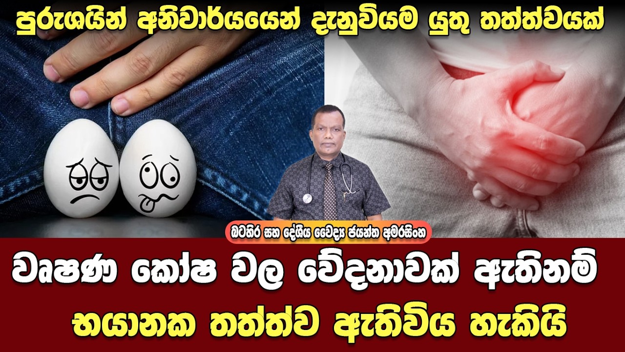 වෘෂණ කෝෂ වල වේදනාවක් තිබේනම්, භයානක ප්‍රතිපල ඇතිවිය හැකියි, අනිවාර්යයෙන් සැලකිලිමත් වෙන්න