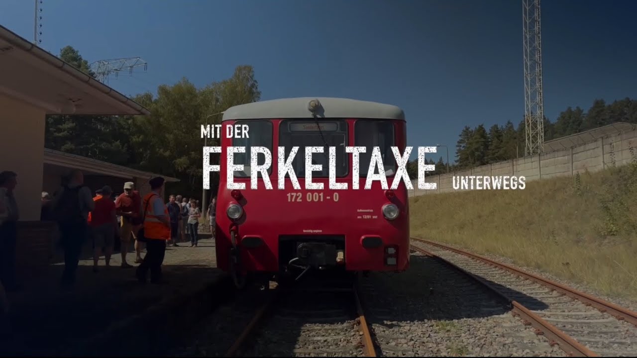 Ferkeltaxe und andere Spätsommergeschichten