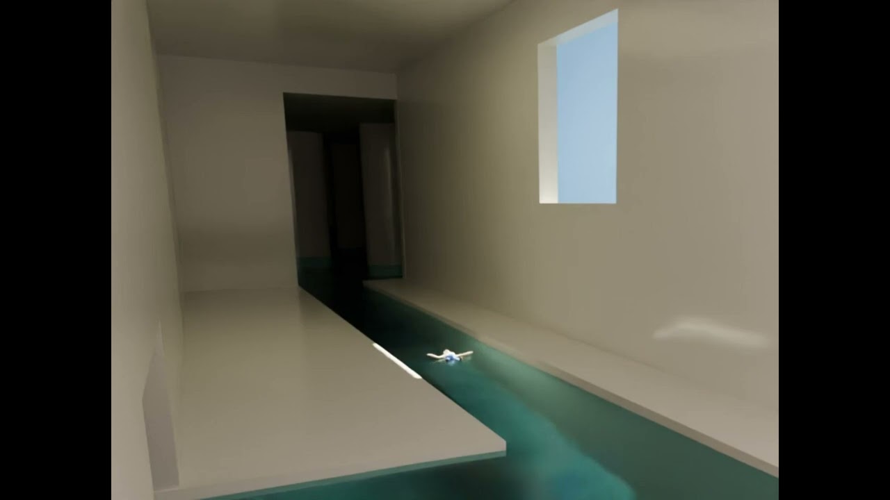 A relaxing afternoon in my neighbor's indoor pool