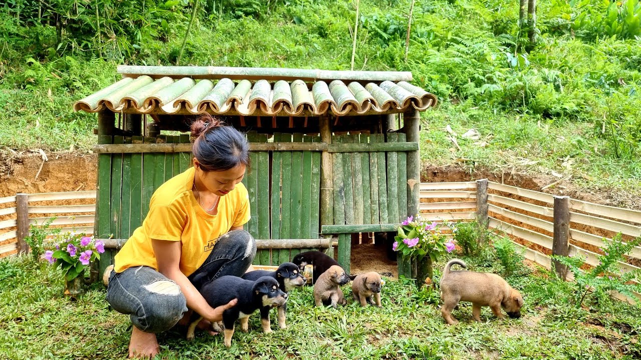 BAMBOO HOUSE: HOW TO BUILD BAMBOO HOUSE FOR DOG 2021 | Bushcraft vn - Ep.51