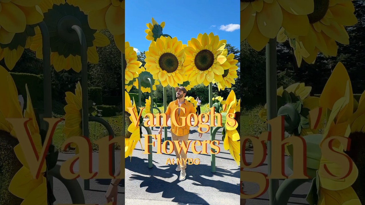 Guide To Visiting Van Gogh&rsquo;s Flowers exhibit at the NYBG! #nybg #vangogh #nyc #visitnyc