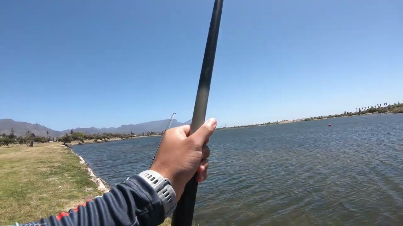 First time FISHING at Zandvlei Estuary.