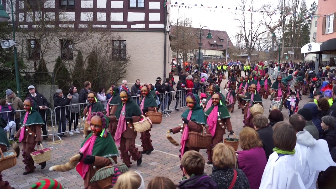 Fasnet Schwenningen 2019   Schantle, Moosmulle, Ehrenkutsche